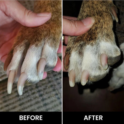 PawGlide Pro